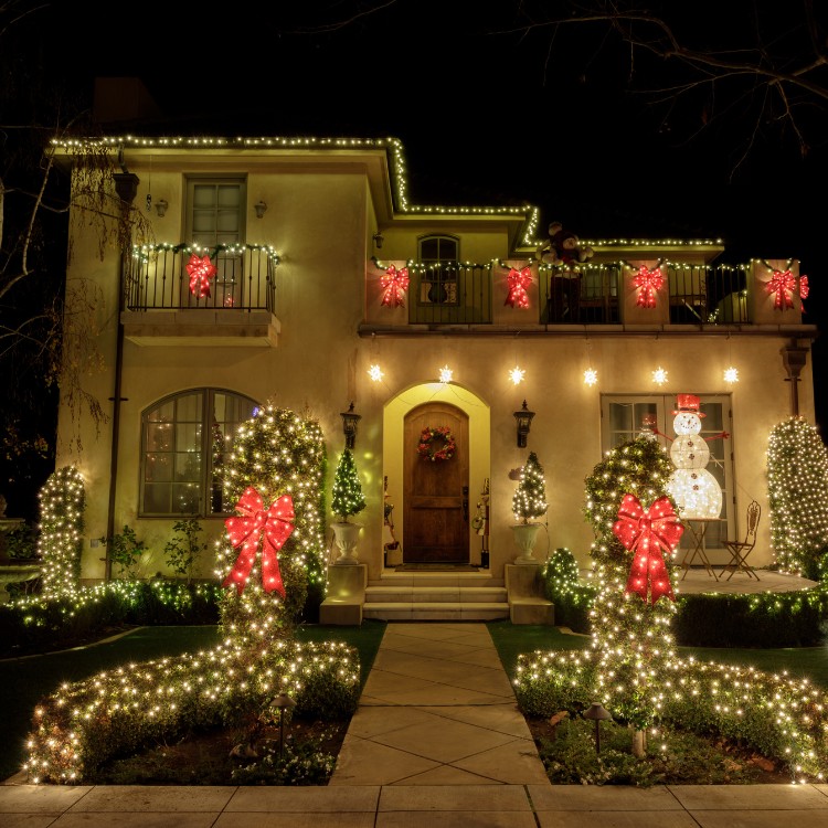 Christmas Decorations in Caledonia, IL