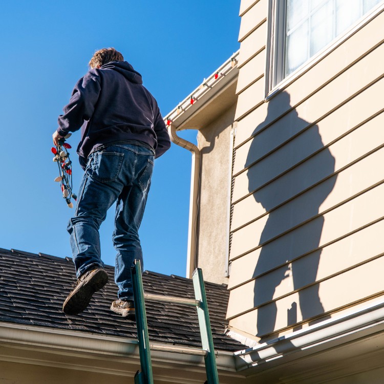 Christmas Decorations in Caledonia, IL Christmas Decorations in Caledonia, IL