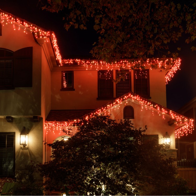 Christmas Decorations in Caledonia, IL
